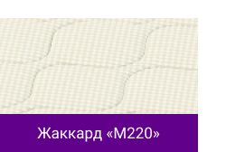 Жаккард «M220».png Жаккард «M220».png